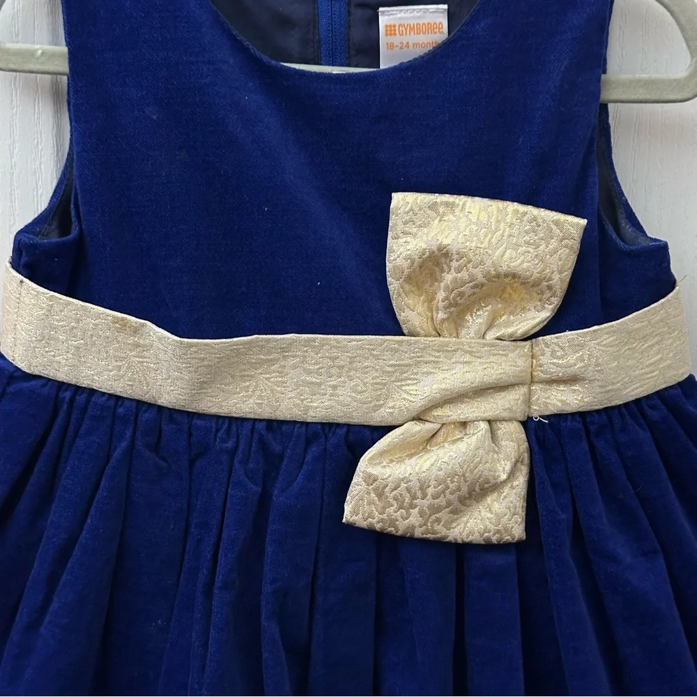 Gymboree Blue Velvet Dress and Osk Kosh Floral Print Denim Jumper Dress bundle